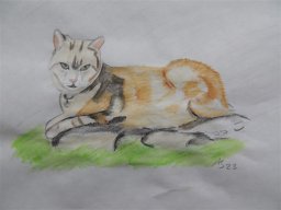 Drawn Pictures